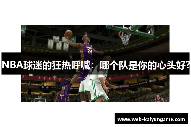 NBA球迷的狂热呼喊：哪个队是你的心头好？