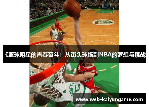 《篮球明星的青春奋斗：从街头球场到NBA的梦想与挑战》